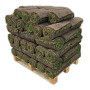 40 m2 of ready-made lawn in rolls