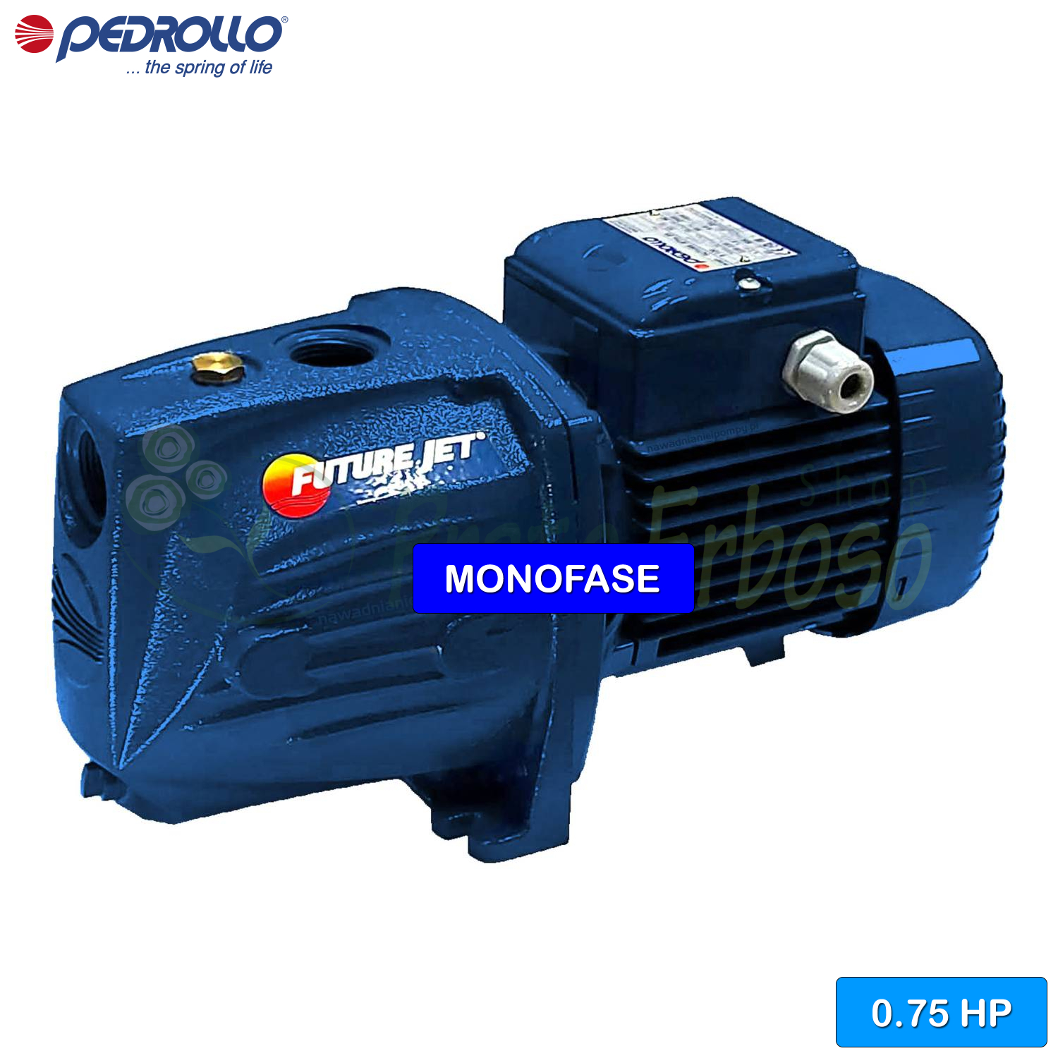 Pompe à Huile Pédrollo PQ60 - 0,5 CV (380V 50Hz) - Roue En Laiton - Neuve