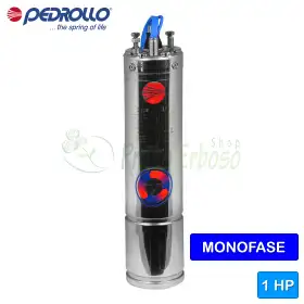 4PDm/1 - 4" 1 HP single-phase rewindable motor Pedrollo - 1