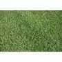 CLASSIC lawn Prato Erboso - 3