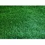 Meadow CHARM Prato Erboso - 2