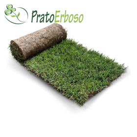 GreenZolla - Véritable litière écologique pour gazon Prato Erboso - 1