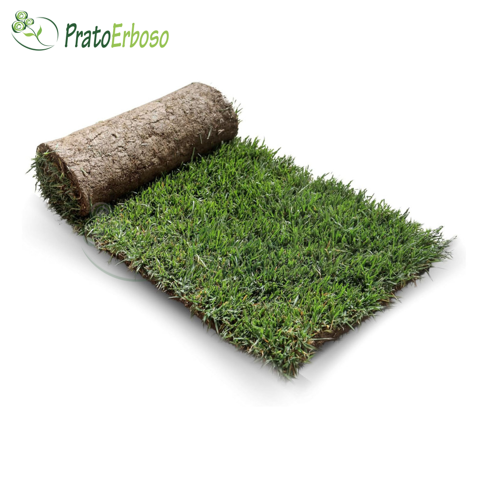 GreenZolla Véritable litière écologique pour gazon Prato Erboso