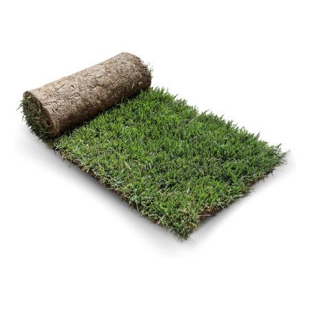 GreenZolla - Ecological real lawn litter Prato Erboso - 1