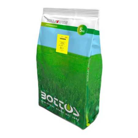 Couch Grass - 5 Kg Lawn Seeds