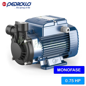 PQm 81-PPS – Elektropumpe mit einphasigem Peripherallaufrad mit 0,75 PS