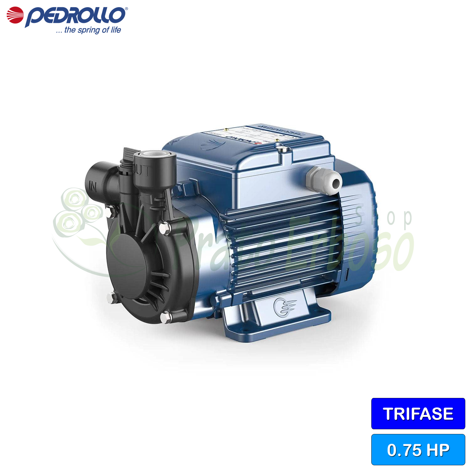 Pompe électrique Périphérique Pedrollo PK 60 - 0.50 HP Triphasé, Pour Eau Propre, Irrigation Et Pressurisation Domestique