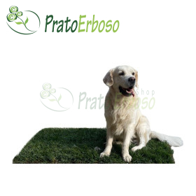 GreenZolla - Ecological litter made from real grass Prato Erboso - 1