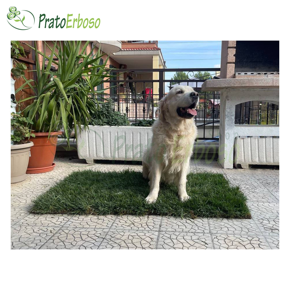 GreenInBox - Lettiera Ecologica In Erba Vera Per Cani E Piccoli Animali - Foto 7