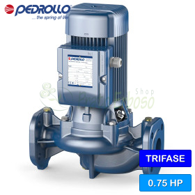 WR 40/125-SB – dreiphasige elektrische Kreiselpumpe mit 0,75 PS Pedrollo - 1