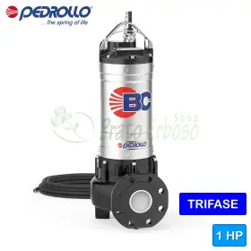 BC-4 – ZWEIKANAL-Elektropumpe für einphasiges Abwasser, 1 PS