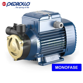 PQAm 60 - Pompă electrică cu rotor periferic monofazat de 0,50 CP Pedrollo - 1