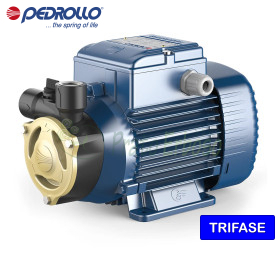 PQA 60 – Elektropumpe mit 0,40 PS dreiphasigem Peripherlaufrad Pedrollo - 1