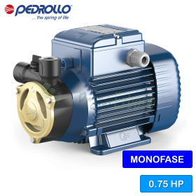 PQAm 70 - Electrobomba con impulsor periférico monofásico de 0,75 HP Pedrollo - 1