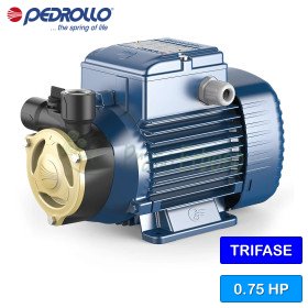 PQA 70 – Elektropumpe mit 0,75 PS dreiphasigem Peripherallaufrad Pedrollo - 1