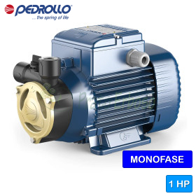 PQAm 90 – Elektropumpe mit 1 PS einphasigem Peripherallaufrad Pedrollo - 1