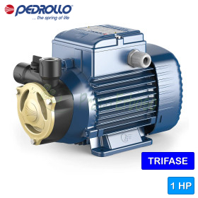 PQA 90 - 1 HP three-phase peripheral impeller electric pump Pedrollo - 1