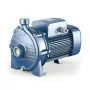 CPm 160B - 2 HP single-phase centrifugal electric pump Pedrollo - 1