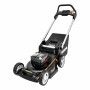 WG749E - 46cm Cordless Lawnmower