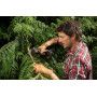 WG330E - Pruning shears cutting 22 mm