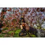WG330E - Gartenschere Schnittlänge 22 mm Worx - 13