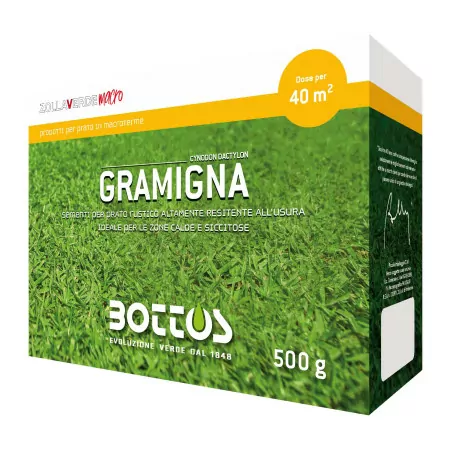 Hierba de sofá - 500 g de semillas de césped