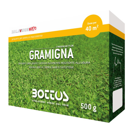 Couch Grass - 500g semințe de gazon Bottos - 1