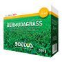 Bermudagrass - Semillas para césped 500 g