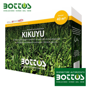 Kikuyu - 500g semințe de gazon