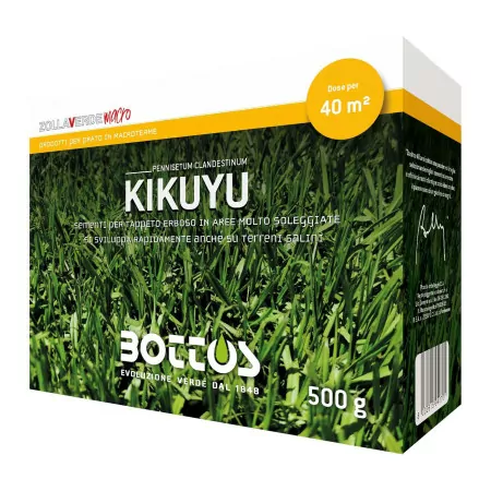 Kikuyu – 500 g Rasensamen
