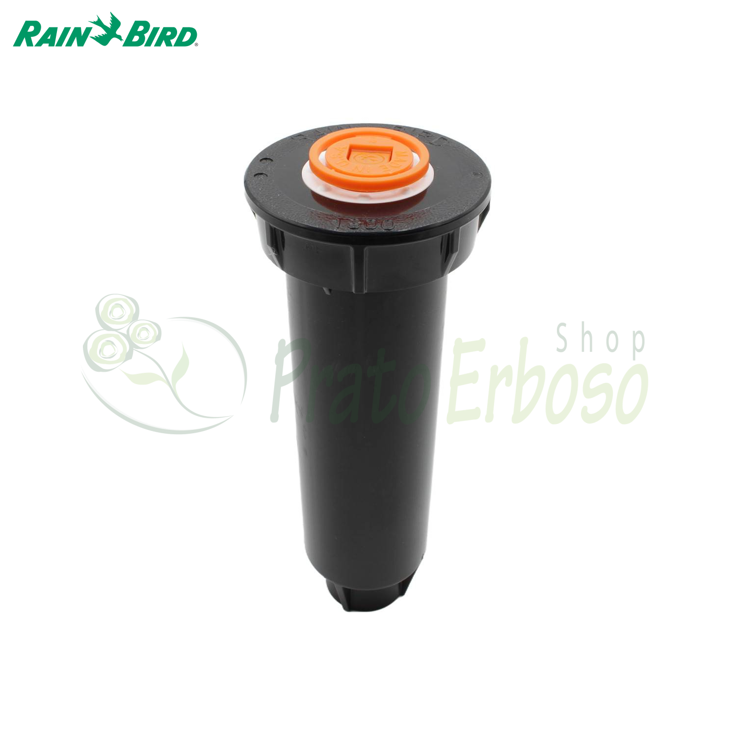Arroseur Escamotable Rainbird 3504 - 10 Cm - Noir - Portée 4,6 à 10,7 M - 6 Buses Incluses