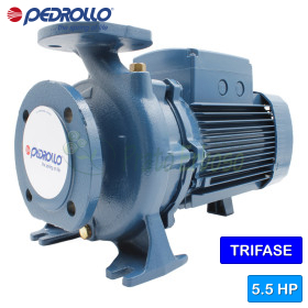 F 40/160A – 5,5 PS dreiphasige normalisierte elektrische Kreiselpumpe Pedrollo - 1