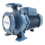 F 40/160A - Electrobomba centrífuga normalizada trifásica de 5,5 HP Pedrollo - 1