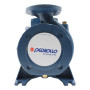 F 40/160A - Electrobomba centrífuga normalizada trifásica de 5,5 HP Pedrollo - 3