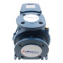 F 40/160A - Elettropompa centrifuga normalizzata trifase da 5.5 HP Pedrollo - 4
