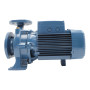 F 40/160A - Electrobomba centrífuga normalizada trifásica de 5,5 HP Pedrollo - 5