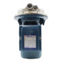 CP 170-ST4 - Electrobomba centrífuga de acero inoxidable trifásica de 1,5 HP Pedrollo - 2