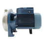 CP 170-ST4 - Elettropompa centrifuga in acciaio inox trifase da 1.5 HP Pedrollo - 4