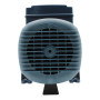 CP 170-ST4 - Elettropompa centrifuga in acciaio inox trifase da 1.5 HP Pedrollo - 5