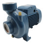 HF 5A - 1.25 HP Three-Phase Centrifugal Electric Pump Pedrollo - 2