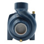 HF 5A - 1.25 HP Three-Phase Centrifugal Electric Pump Pedrollo - 5