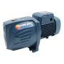 FUTURE JETm 2C - Pompe électrique auto-amorçante monophasée 1 HP