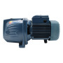 FUTURE JETm 2C - 1 HP single-phase self-priming electric pump - Pedrollo