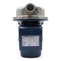 CP 100-ST4 - pompë elektrike centrifugale trefazore çelik inox 0,33 HP Pedrollo - 3