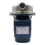 CP 100-ST4 - Elettropompa centrifuga in acciaio inox trifase da 0.33 HP Pedrollo - 3