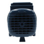 CP 100-ST4 - Elettropompa centrifuga in acciaio inox trifase da 0.33 HP Pedrollo - 6