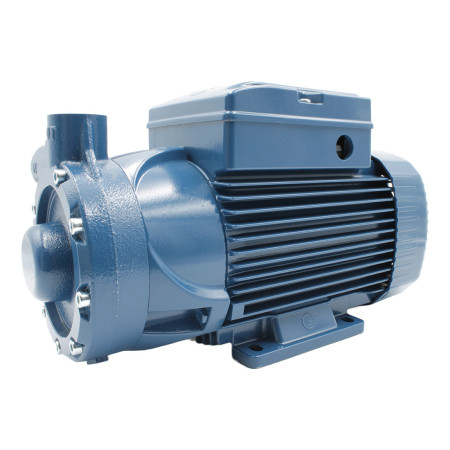 PQ 3000 – Elektropumpe mit dreiphasigem Peripherlaufrad mit 3 PS Pedrollo - 1