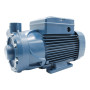 PQ 3000 – Elektropumpe mit dreiphasigem Peripherlaufrad mit 3 PS Pedrollo - 1