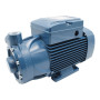 PQ 3000 – Elektropumpe mit dreiphasigem Peripherlaufrad mit 3 PS Pedrollo - 2