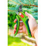 15G202 - Gartenschere OUTLET Verto - 2